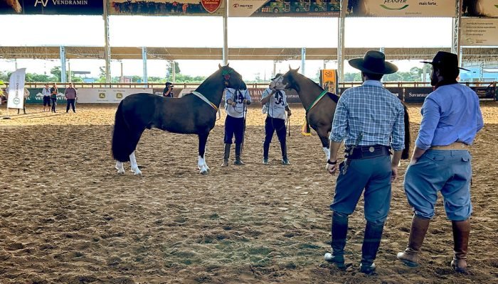 Evento retorna ao Sindicato Rural do município e aposta em novo ambiente para a