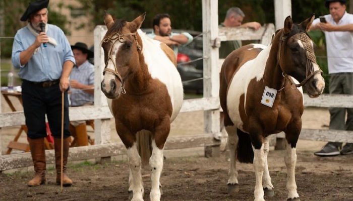 Foto: Jaime Bicca de Freitas levará sua experiência para a pista do evento pela