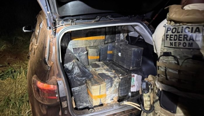PF e Polícia Civil apreendem quase 1 tonelada de maconha em Itaipulândia/PR