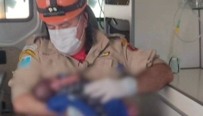 (Reprodução: Corpo de Bombeiros)