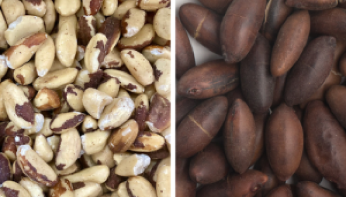 Brasil amplia fronteiras do agro com novos mercados na Ásia