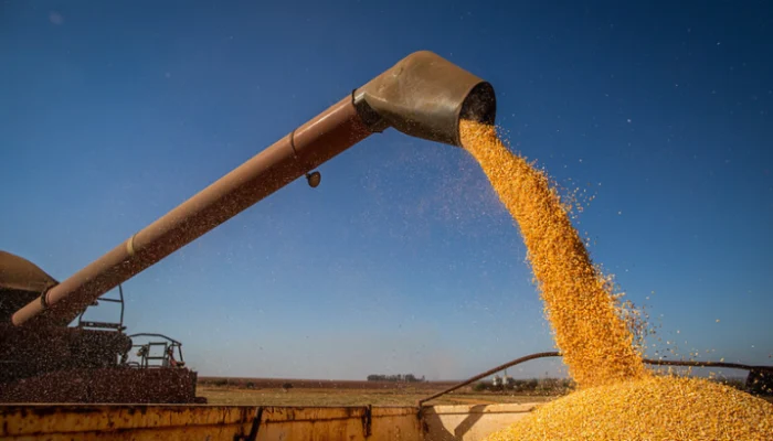 Agronegócio: quatro municípios de MS estão no top 20 nacional, segundo estudo