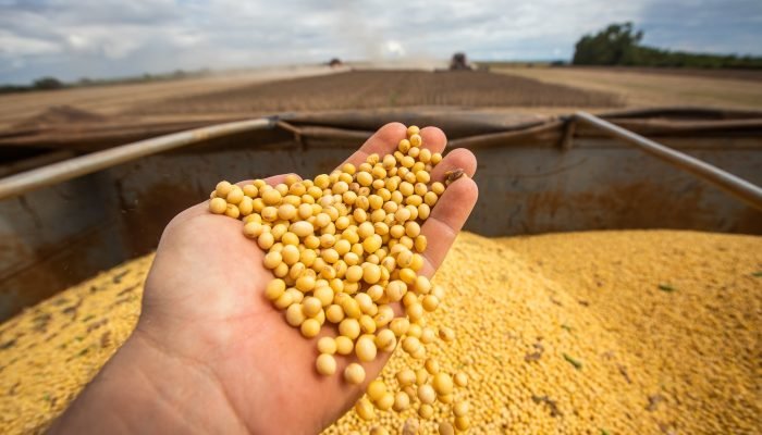 Venda de soja do Brasil à China bate recorde anual em outubro, diz Anec
