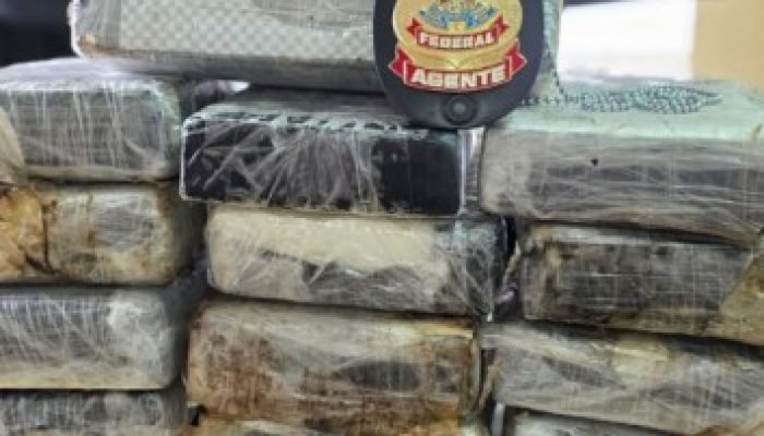 PF apreende cocaína em contêiner refrigerado no Porto de Paranaguá