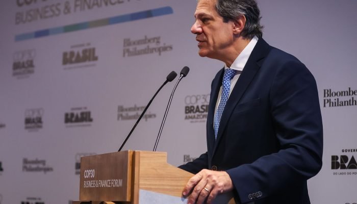 Haddad espera US$ 10 bi para fundo de proteção às florestas