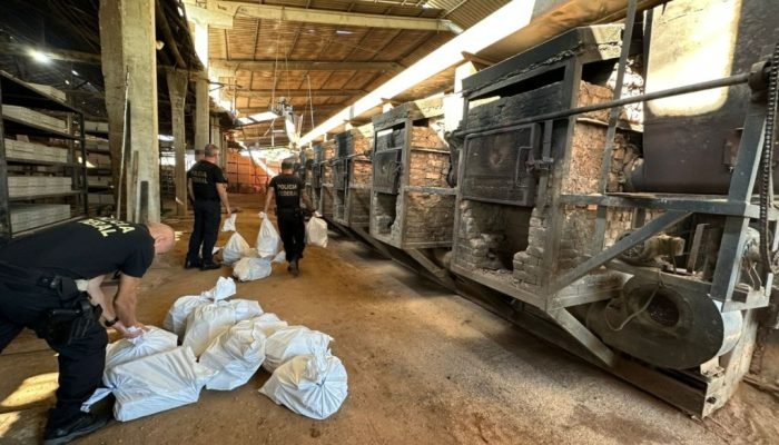 Material ilícito incinerado — Foto: Logo