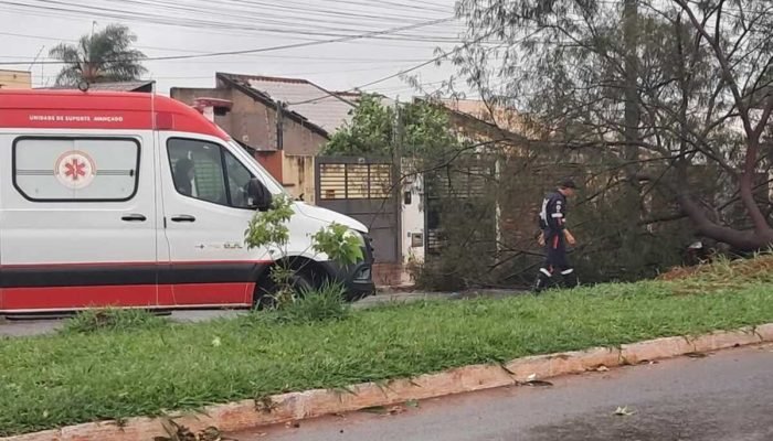 Motociclista é atingido por árvore durante temporal na Avenida Marajoara