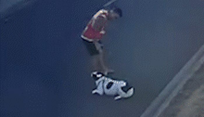 Homem é flagrado arrastando cachorro e batendo no animal em Campo Grande