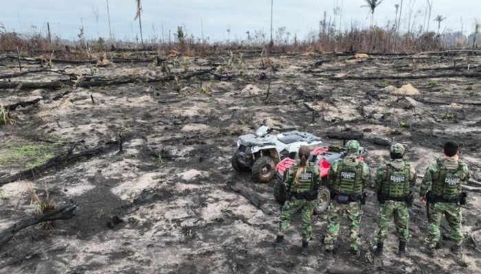 Desmatamento na Amazônia ameaça igarapés e segurança hídrica