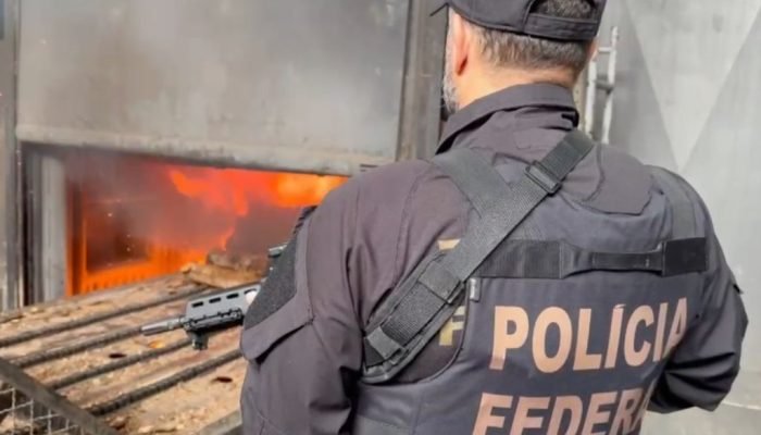 Polícia Federal Incinera Meia Tonelada de Drogas em Lages, SC