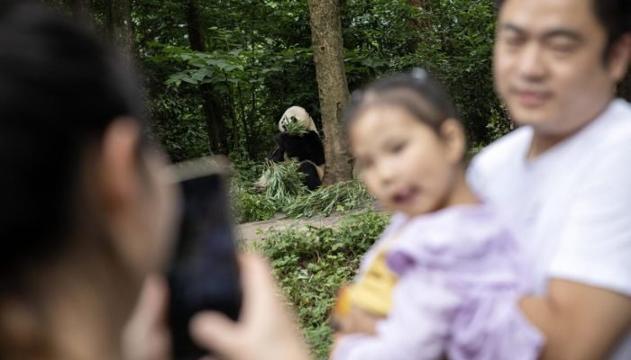 Foto: Busca Gazeta do Povo