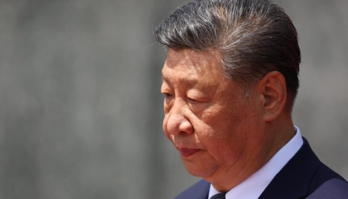 Busca Gazeta do Povo — Foto: Busca Gazeta do Povo