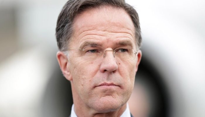 Foto: Busca Gazeta do Povo