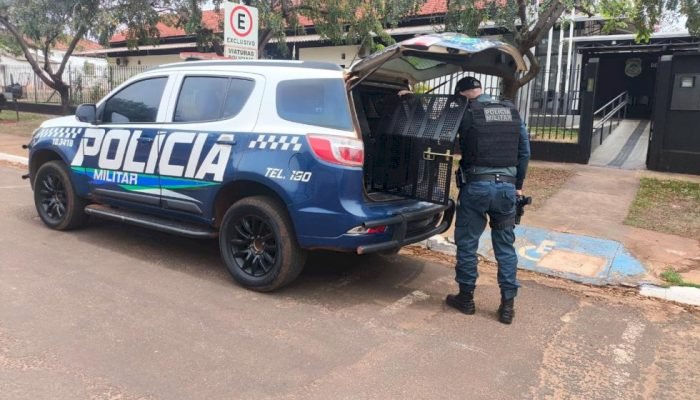 Polícia Militar prende homem por descumprimento de medida protetiva