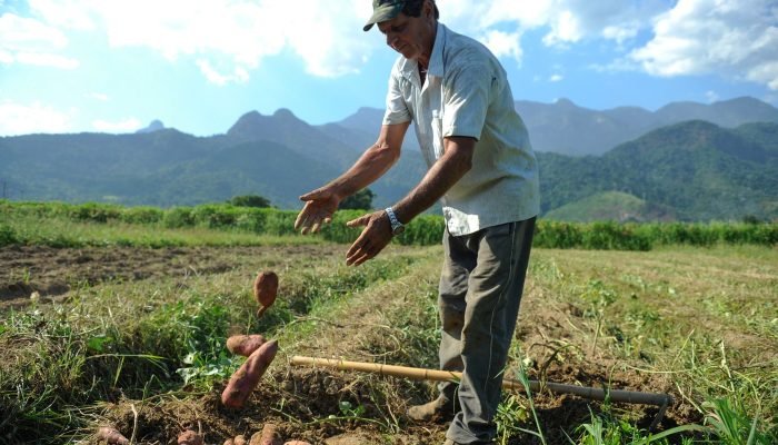 BNDES libera R$ 12 bi para produtores rurais afetados