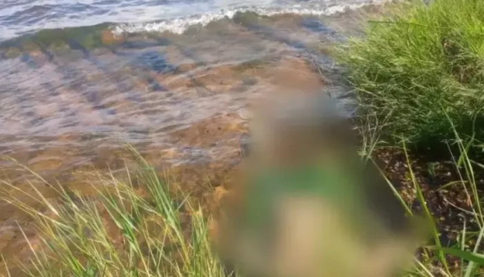 Turista do Paraná morre afogado em rio de MS, 9º caso no ano - Reprodução: Da Hora Bataguassu