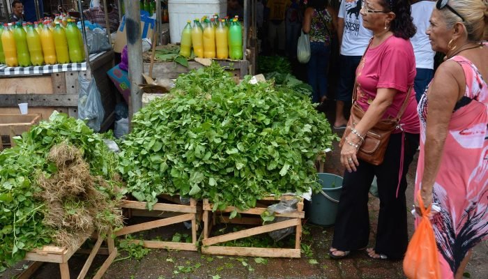Programa Mercado do Povo expande apoio a produtores locais