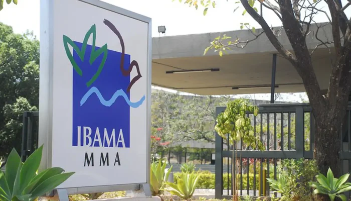 Ibama barra licença de termelétrica a gás natural em Brasília