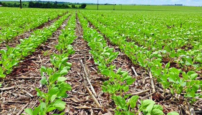 Foto: Foto: Aprosoja