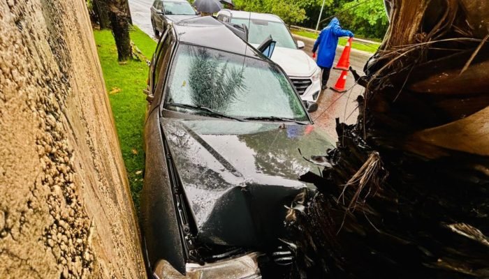 Veículo foi lançado contra coqueiro. (Foto: Marcos Erminio, Midiamax)