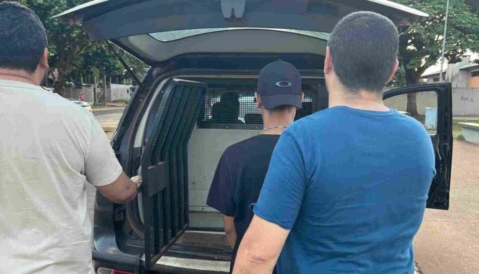 Acusado foi preso nesta quinta-feira (Foto: Reprodução, Polícia Civil)