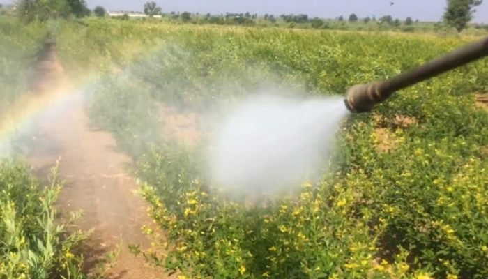 Agrotoxicos-itapora