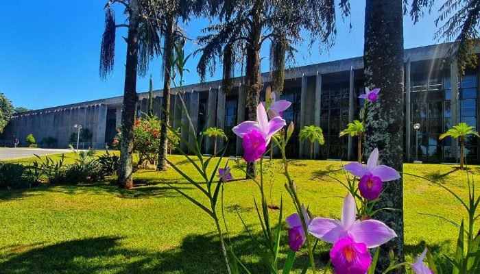 Foto: Foto: Wagner Guimarães / Arquivo ALEMS