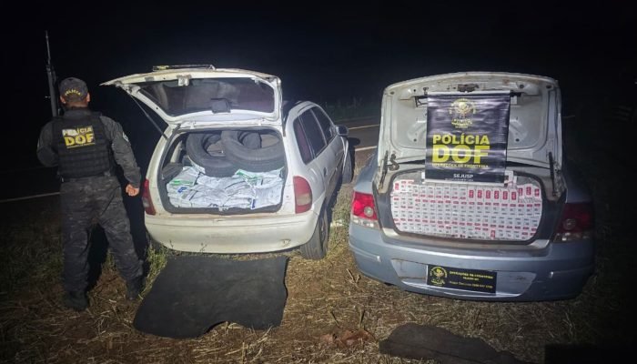 Foto: Produtos foram apreendidos e levados para a Receita Federal (Foto: Divulga
