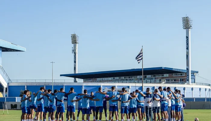 Foto: O Leão mira a liderança da Série B -Fotos: Leandro Boeira / Avaí F.C.