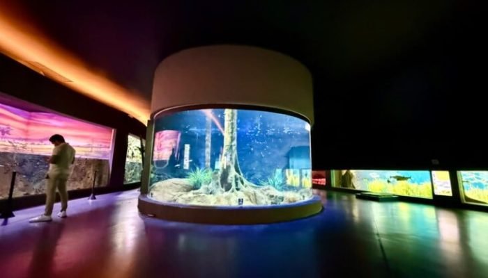 Bioparque-horario-especial-730x480-1