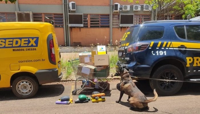Encomendas com drogas escondidas — Foto: PRF MS
