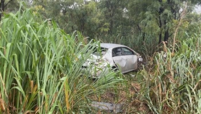 Motorista perde controle de carro e para em meio ao mato na BR-267 — Foto: Repro