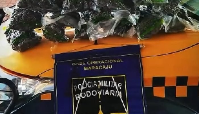 PMR apreende 9,6 kg de skank em Maracaju, MS