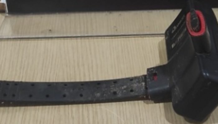 Tornozeleira Eletrônica Cortada Encontrada em Rio Brilhante