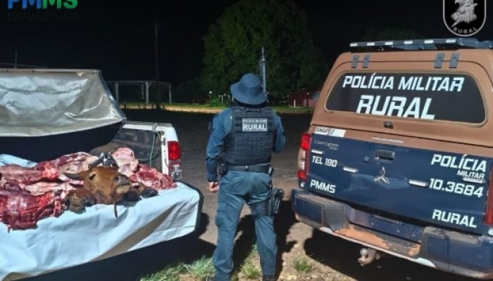 BPM Rural prende homem por furto de gado e posse irregular de arma de fogo — Fot
