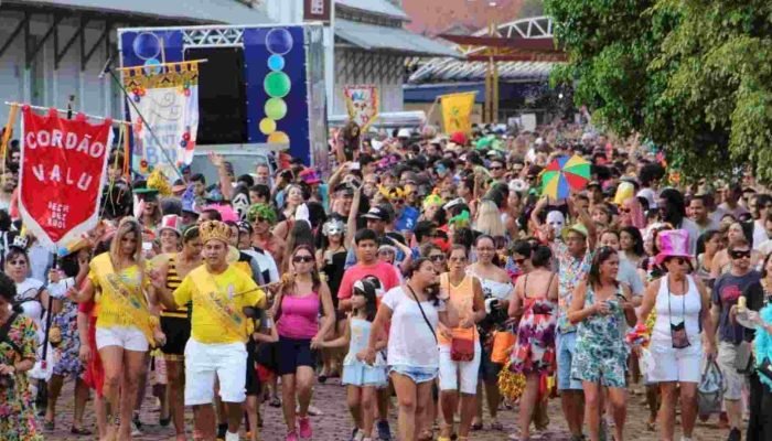 Carnaval de rua em Campo Grande. (Foto: Divulgação)