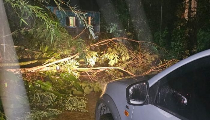 Foto: Estragos causados pela chuva em Ubatuba (SP) | Foto: Defesa Civil/SP