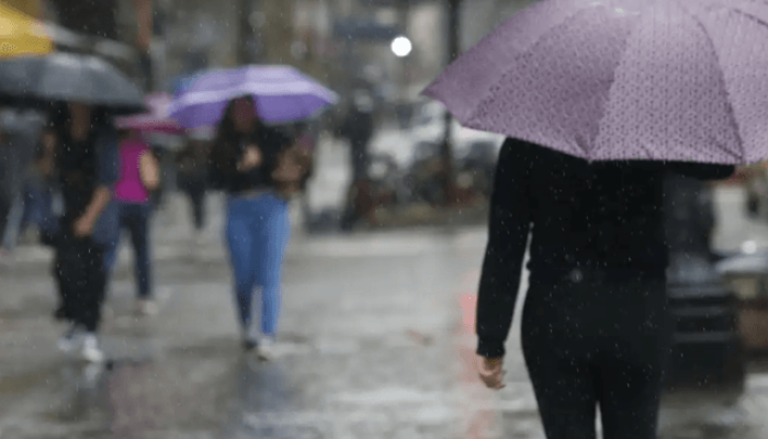 Foto: Chuva | Reprodução Paulo Pinto/Agência Brasil