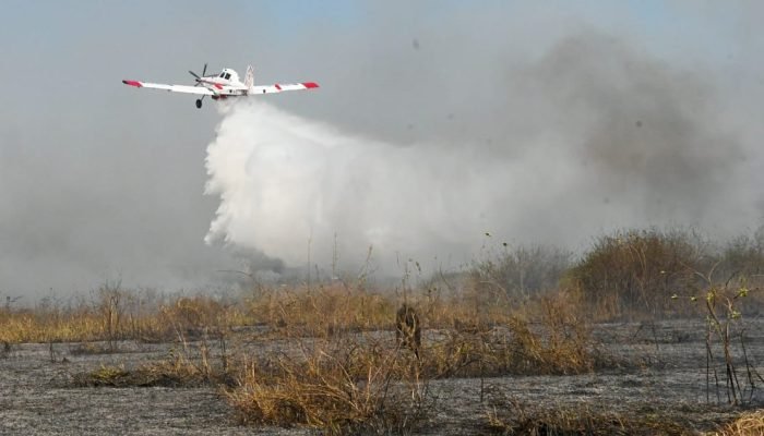 El Niño aumenta risco de incêndios no Pantanal; M
