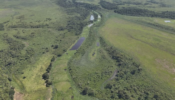 Foto: Foto: Divulgação PMC