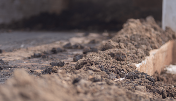 DSC08405-scaled-e1776252875509