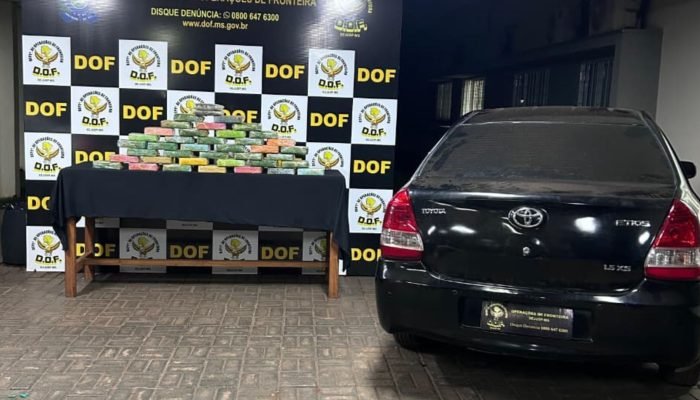 Foto: Droga apreendida - Foto: Divulgação, DOF