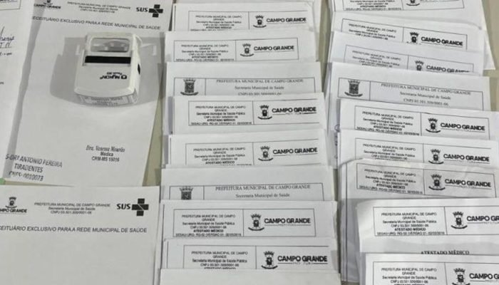 Vários atestados falsos foram apreendidos. — Foto: Vários atestados falsos foram
