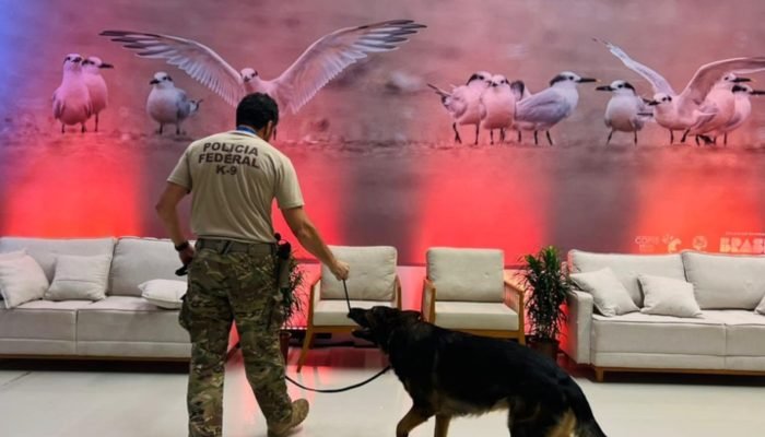 Foto: Cão farejador durante a inspeção. (Reprodução, Polícia Federal)