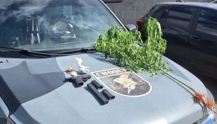 Pistola, entorpecentes e pé de maconha foram encontrados no local. — Foto: Pisto