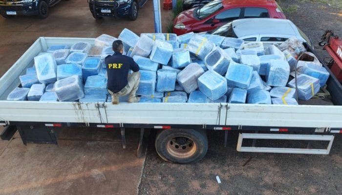 O entorpecente estava escondido na carga de sementes de girassol. — Foto: O ento