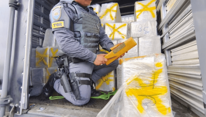 PM paulista encontra quase 1 tonelada de maconha escondida em caminhão — Foto: P