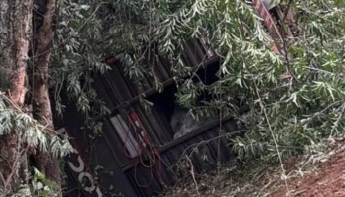 A carreta caiu na ribanceira após o motorista perder o controle da direção. — Fo
