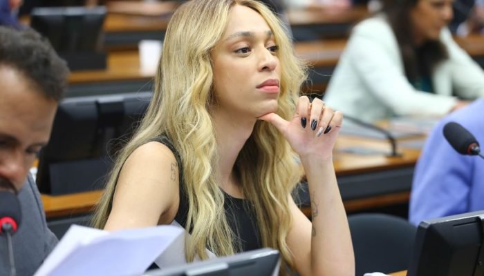 Deputada federal Erika Hilton — Foto: Deputada federal Erika Hilton (PSOL-SP) •