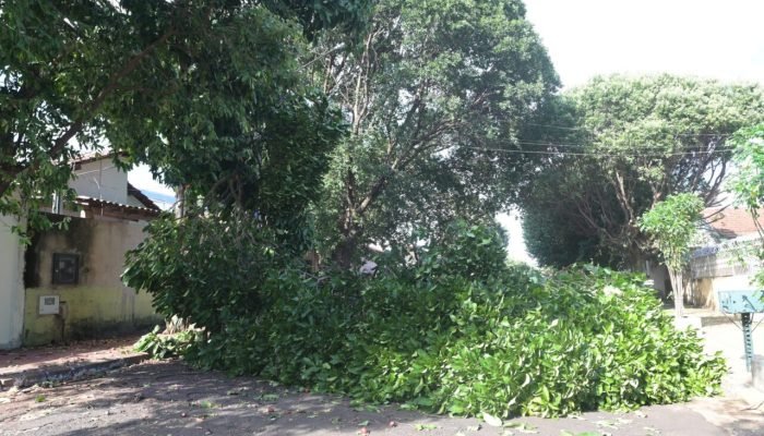 ESTRAGOS-DA-CHUVA-NILSON-FIGUEIREDO-17-scaled-1